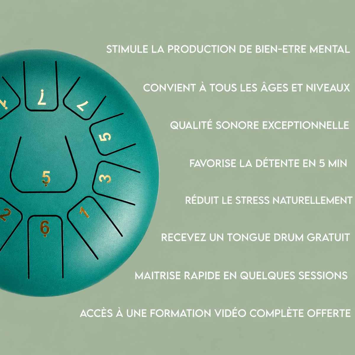 Tongue Drum 13 Notes 432hz