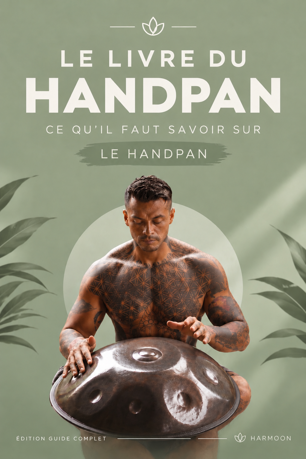 Formation vidéo Handpan